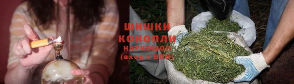 гашик Вязники