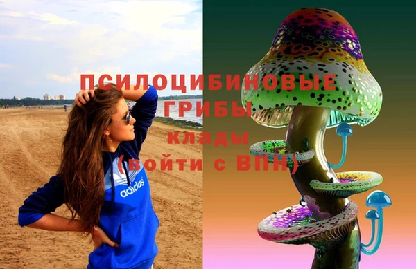 эйфоретик Вязьма