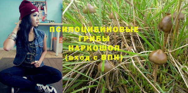 гашик Вязники