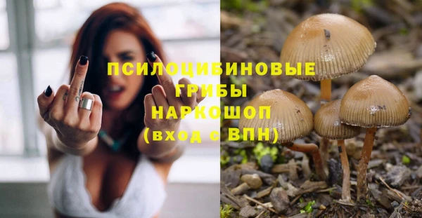 гашик Вязники