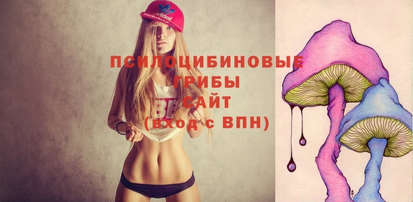 гашик Вязники