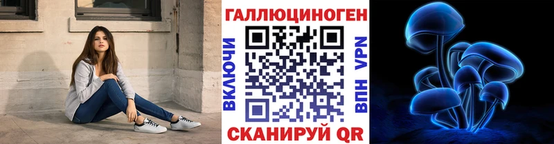 Купить  Прокопьевск  Псилоцибиновые грибы Psilocybine cubensis 